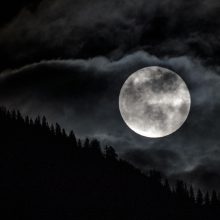 Moon-Night_565x565